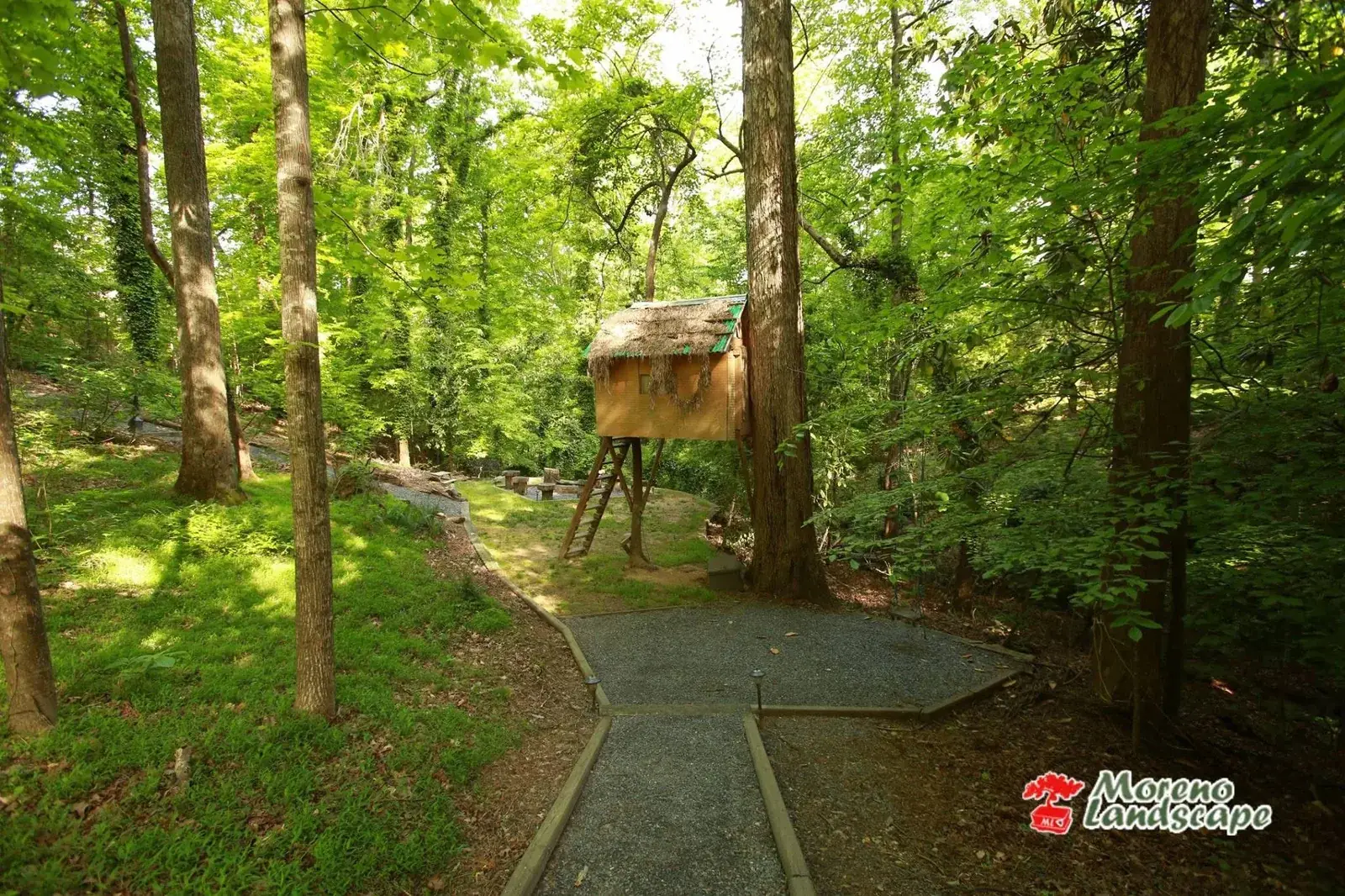 Gravel court and woodland path with timber edging leading to a treehouse