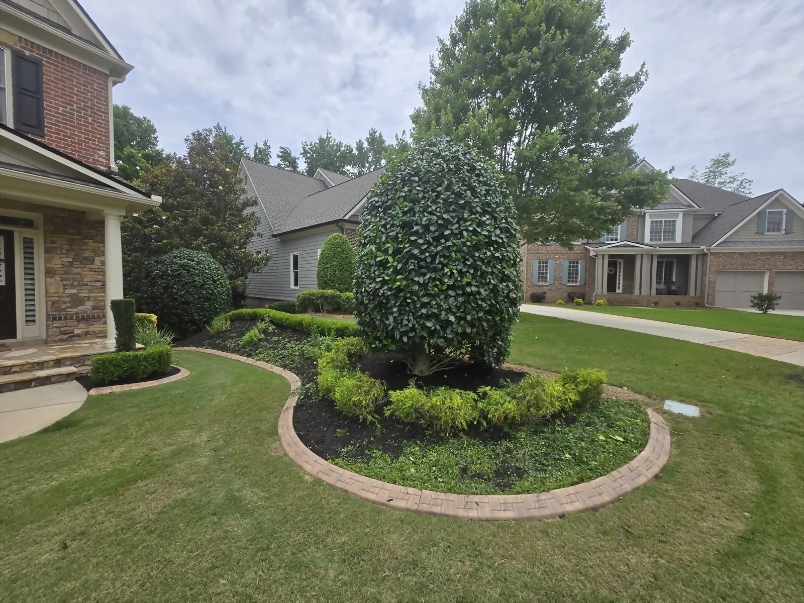 Front lawn with a stone-edged island bed and clipped evergreen