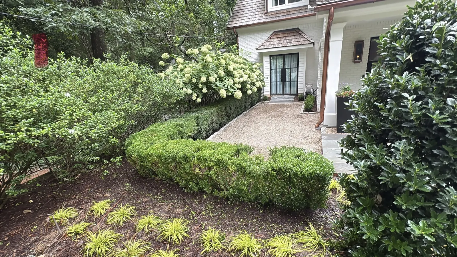Gravel walk past a boxwood hedge and blooming hydrangeas to a white house