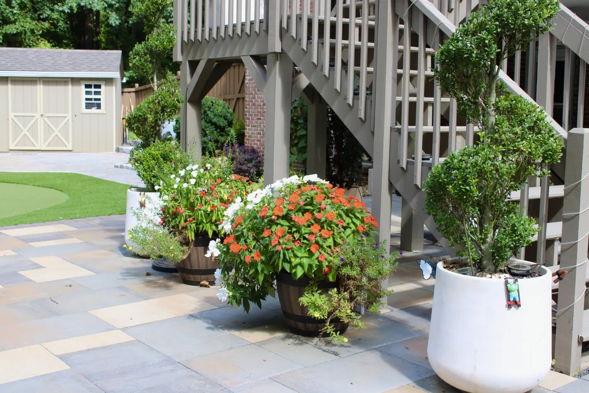 Bluestone terrace under a deck with tall white planters and clipped topiary