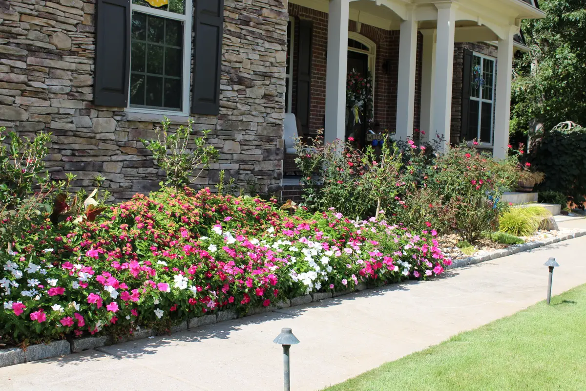 Dense border of pink and white annuals along a walkway beside a stone facade