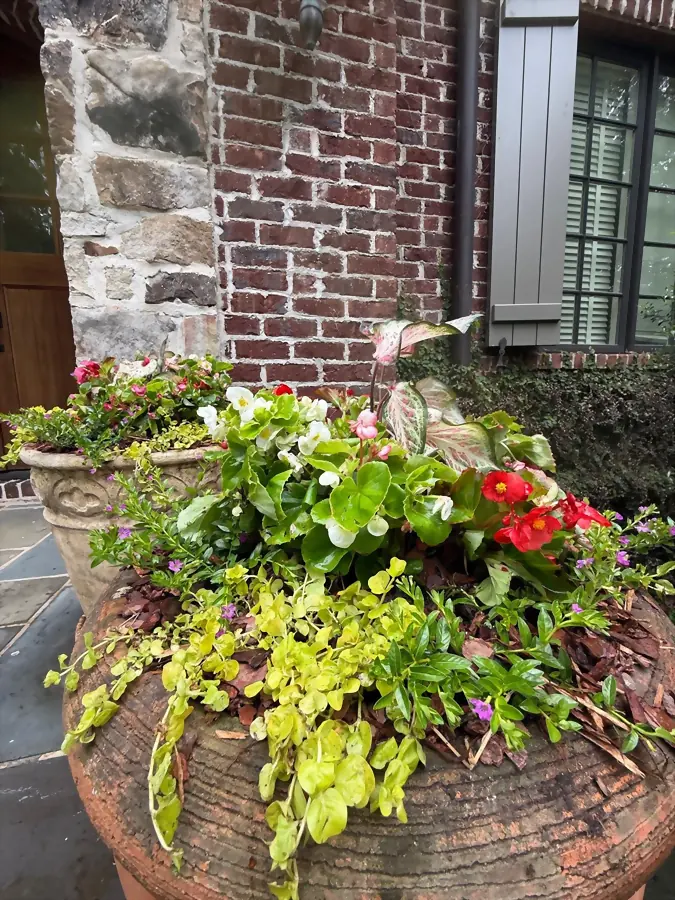 Mixed annual planter against brick with flagstone below