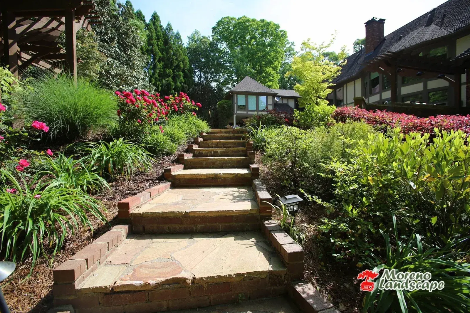 Stone and timber steps climbing a planted slope with roses and ornamental grasses